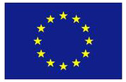 euflag
